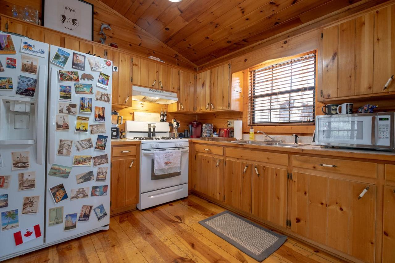 蓝岭Three Dog Night - Pet-Friendly Cabin With Hot Tub别墅 外观 照片