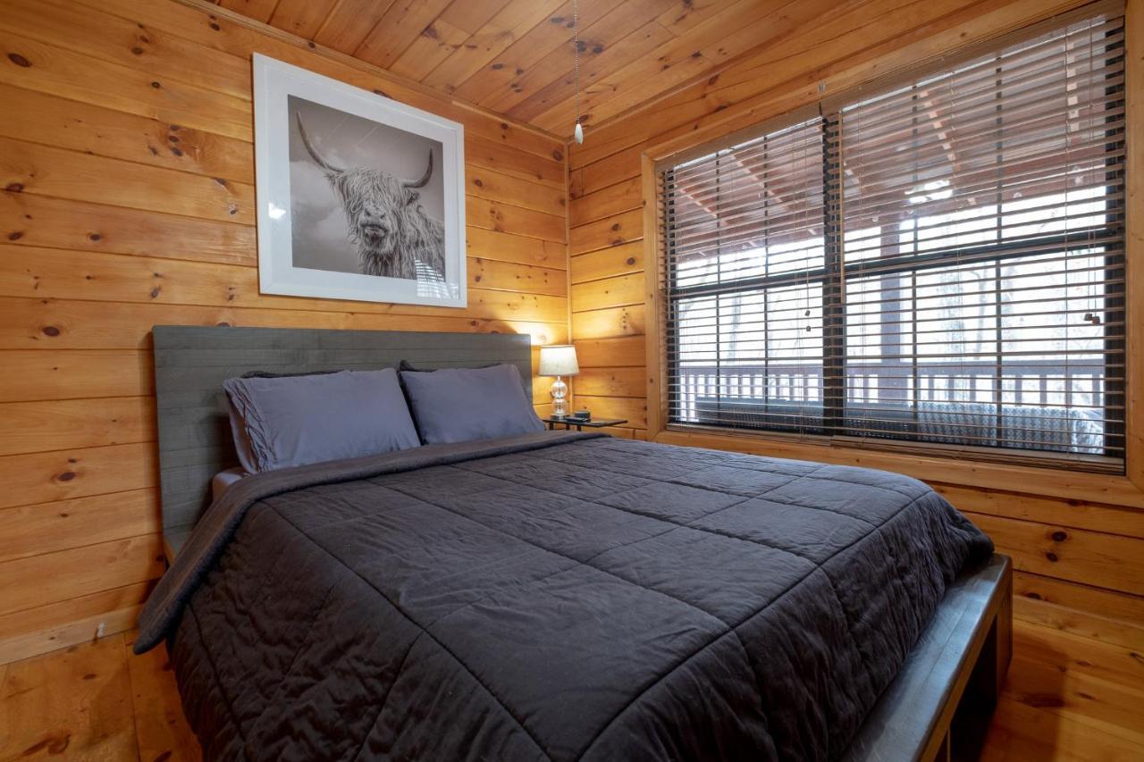 蓝岭Three Dog Night - Pet-Friendly Cabin With Hot Tub别墅 外观 照片