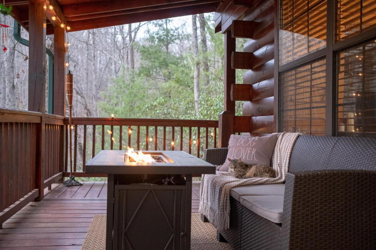 蓝岭Three Dog Night - Pet-Friendly Cabin With Hot Tub别墅 外观 照片