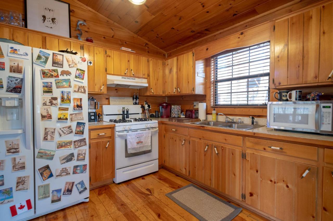 蓝岭Three Dog Night - Pet-Friendly Cabin With Hot Tub别墅 外观 照片