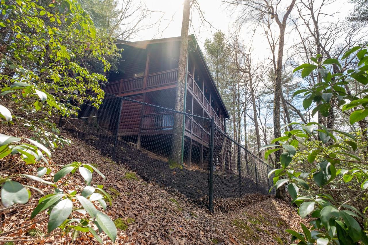 蓝岭Three Dog Night - Pet-Friendly Cabin With Hot Tub别墅 外观 照片