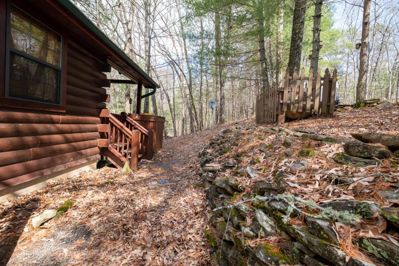 蓝岭Three Dog Night - Pet-Friendly Cabin With Hot Tub别墅 外观 照片